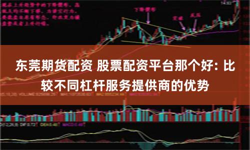 东莞期货配资 股票配资平台那个好: 比较不同杠杆服务提供商的优势