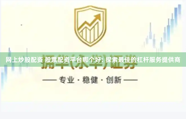 网上炒股配资 股票配资平台哪个好: 探索最佳的杠杆服务提供商